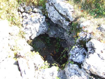 Прикрепленное изображение: DSCF5769.jpg